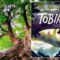 “Tobia. La vita sospesa” – Timothée de Fombelle